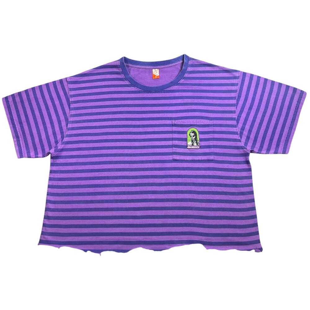 Alien Workshop x Dinosaur Jr. Green Mind Purple Striped Pocket T-Shirt 0024